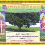 sri-kasi-visweswara-swamy-vari-100th-year-kalyana-celebrations-welcome-image-1
